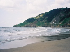 080020.jpg