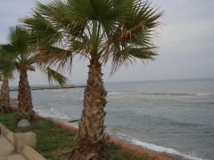 costa-dorada-40620503.jpg