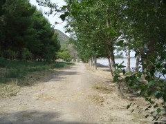 mequinenza-40619412.jpg