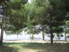 mequinenza-40619413.jpg