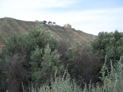 mequinenza-40619422.jpg