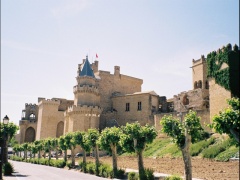 olite-20040618-01035.jpg
