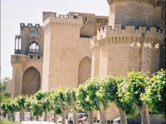 olite-20040618-03036.jpg