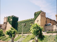 olite-20040618-05034.jpg