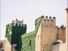 olite-20040618-110032.jpg