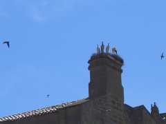 olite-20040618-40611322.jpg