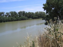tudela20040618-03341.jpg