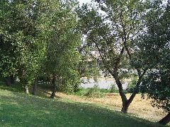 zaragaza-40619368.jpg