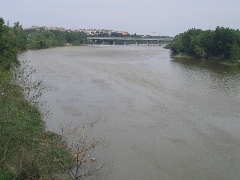 zaragaza-40619375.jpg