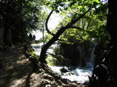 080.jpg