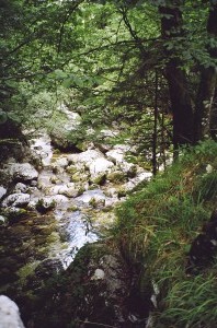 bohini-20050722-0970011.jpg