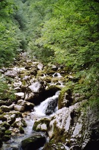 bohini-20050722-0970014.jpg