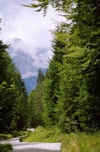 mojstrana-triglav-20050723-0980003.jpg