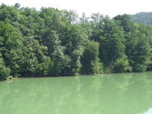 valburga-sava-river-20050727-4816.jpg