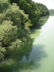 valburga-sava-river-20050727-4817.jpg