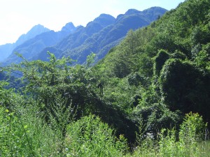 tarvisio-20050724-4759.jpg