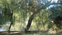 20070716-romania-2934.jpg