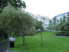 20070704-214320-norway-1358.jpg