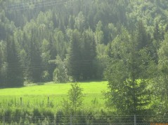 20070706-112154-norway-1442.jpg