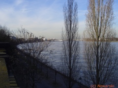 20070215-bonn-0947.jpg