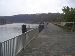 20070323-1401.jpg