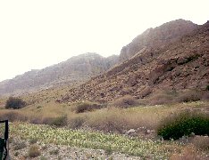dead-sea-20040220-1.jpg