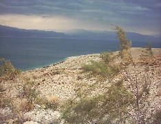 dead-sea-20040220-2.jpg