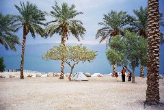 dead-sea-20040220-5.jpg
