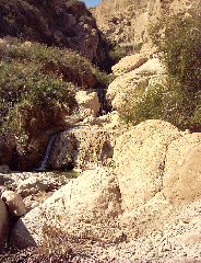 ein-gedi-david-river-20040220-1.jpg