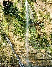 ein-gedi-david-river-20040220-2.jpg