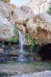ein-gedi-david-river-20040220-4.jpg