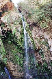 ein-gedi-david-river-20040220-5.jpg