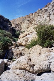 ein-gedi-david-river-20040220-6.jpg