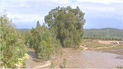 kishon-200302252.jpg