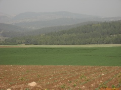 20070321-latrun-img_0324.jpg