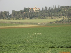 20070321-latrun-img_0349.jpg