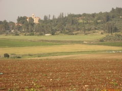 20070321-latrun-ste_0330.jpg