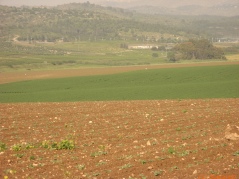 20070321-latrun-sti_0334.jpg