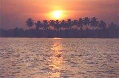 india-kerara-back-waters.jpg