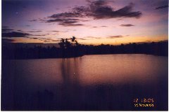 philippines-maktan-coral-reef-20000412.jpg