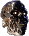T2 head