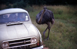 Sidebar: Picture