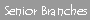 Senior Branches