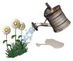 watering