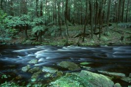 brook, Clinton Road, West Milford,NJ