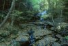Brook along the Delaware River on Penn. side.  Across the river is Callicoon, NY
