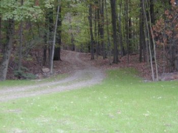 Wingdam Trail