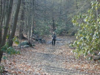 Laurel Pond Trail