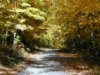 Old Wawayanda Road