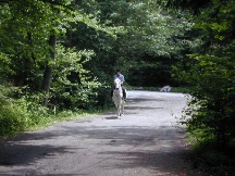 Jelane on Talla in my neighborhood